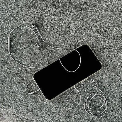 CHROMA Wired Buds TYPE-C