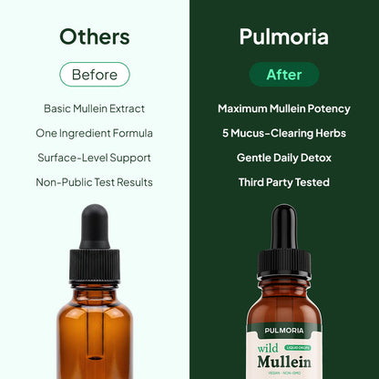 Pulmoria Mullein Drops